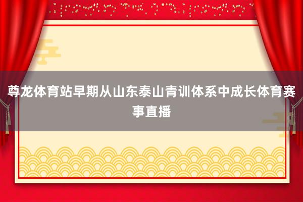 尊龙体育站早期从山东泰山青训体系中成长体育赛事直播