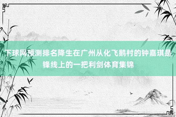 下球网预测排名降生在广州从化飞鹅村的钟嘉琪是锋线上的一把利剑体育集锦