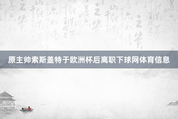 原主帅索斯盖特于欧洲杯后离职下球网体育信息