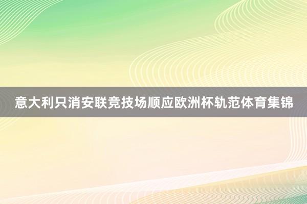 意大利只消安联竞技场顺应欧洲杯轨范体育集锦