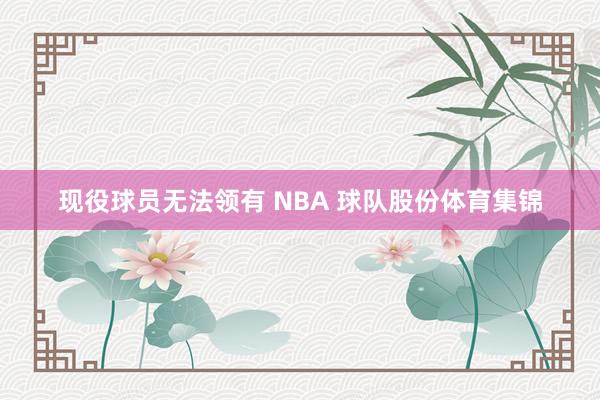 现役球员无法领有 NBA 球队股份体育集锦